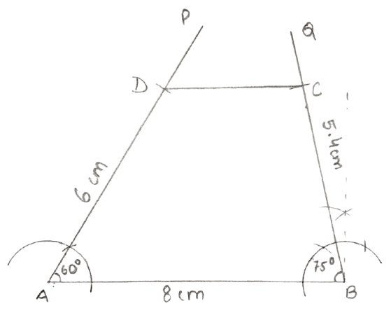 Construct a quadrilateral ABCD; if : Constructions, Concise Mathematics Solutions ICSE Class 8.