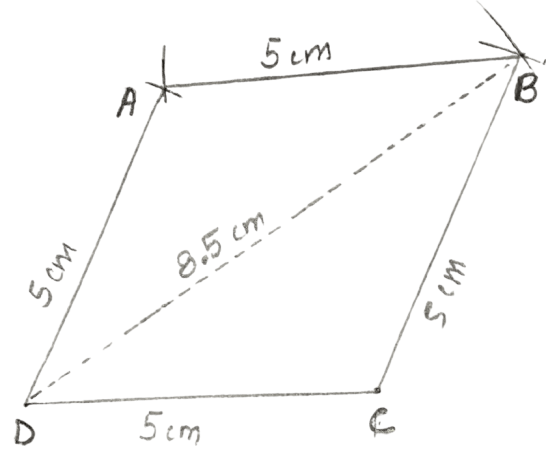 Construct a rhombus ABCD, if: Constructions, Concise Mathematics Solutions ICSE Class 8.