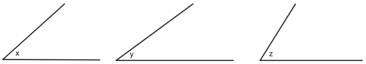 Given below are the angles x, y and z. Constructions, Concise Mathematics Solutions ICSE Class 8.