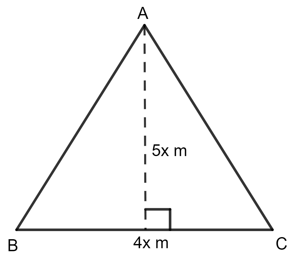 The base and the height of a triangle are in the ratio 4 : 5. If the area of the triangle is 40 m2, find its base and height. Area of a Trapezium and a Polygon, Concise Mathematics Solutions ICSE Class 8.