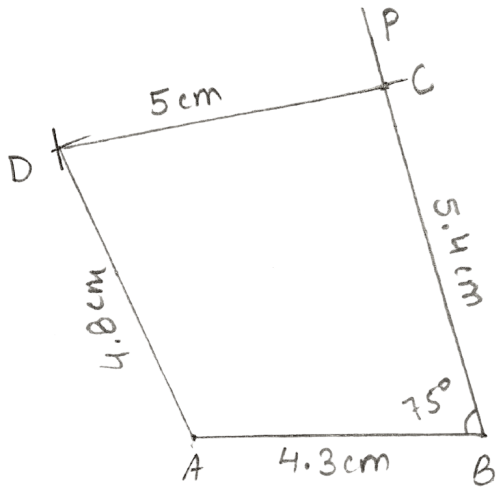 Construct a quadrilateral ABCD; if : Constructions, Concise Mathematics Solutions ICSE Class 8.