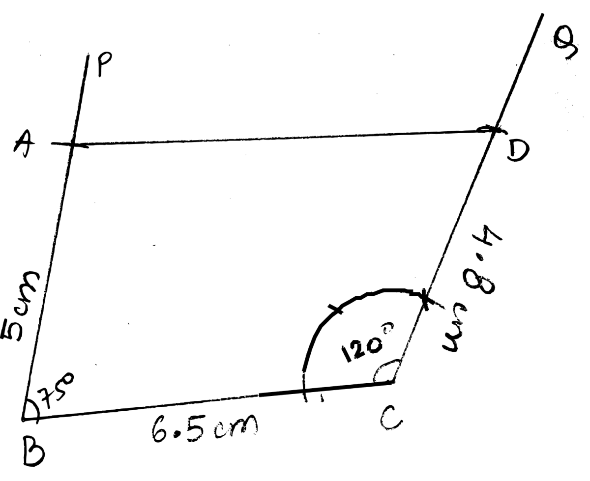 Construct a quadrilateral ABCD; if : Constructions, Concise Mathematics Solutions ICSE Class 8.