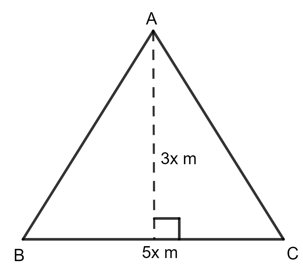 The base and the height of a triangle are in the ratio 5 : 3. If the area of the triangle is 67.5 m2; find its base and height. Area of a Trapezium and a Polygon, Concise Mathematics Solutions ICSE Class 8.