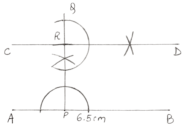 Draw a straight line AB = 6.5 cm. Draw another line which is parallel to AB at a distance of 2.8 cm from it. Constructions, Concise Mathematics Solutions ICSE Class 8.
