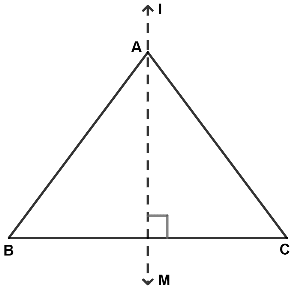 In the given figure, AM is the perpendicular bisector of BC. Then : Triangles, Concise Mathematics Solutions ICSE Class 9.