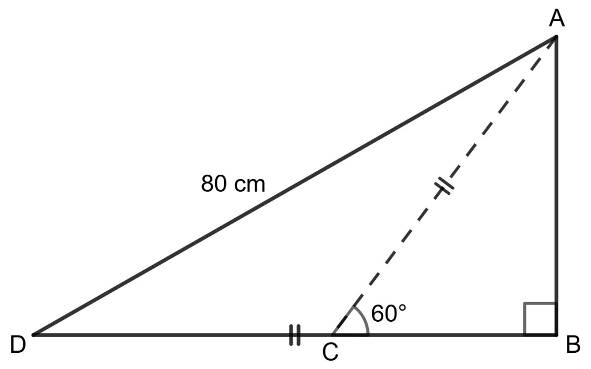 In the given triangle, the length of AB is : Solution of Right Triangles, Concise Mathematics Solutions ICSE Class 9.