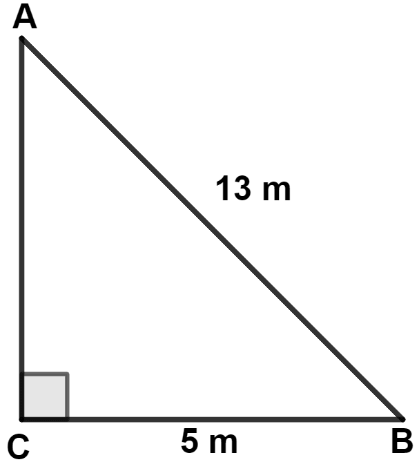 A ladder 13 m long rests against a vertical wall. If the foot of the ladder is 5 m from the foot of the wall, find the distance of the other end of the ladder from the ground. Pythagoras Theorem, Concise Mathematics Solutions ICSE Class 9.