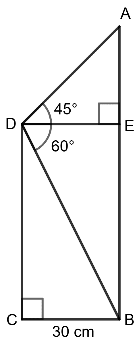 Find the length of AB. Solution of Right Triangles, Concise Mathematics Solutions ICSE Class 9.