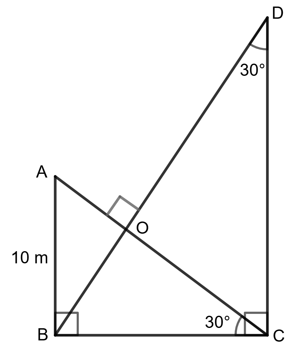 CD = 3 x AB = 3 x 10 m = 30 m. Assertion Reasoning, Concise Mathematics Solutions ICSE Class 9.