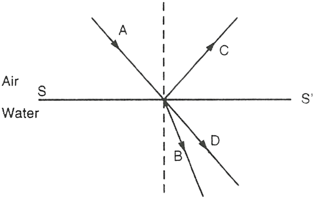 Chapter 4: Refraction of Light at Plane Surfaces, Selina Solutions Concise  Physics Class 10 ICSE