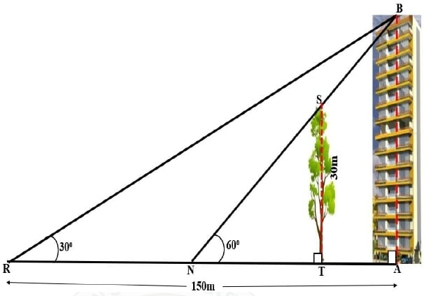 A tree (TS) of height 30 m stands in front of a tall building (AB). Two friends Rohit and Neha are standing at R and N respectively, along the same straight line joining the tree and the building (as shown in the diagram). Rohit, standing at a distance of 150 m from the foot of the building, observes the angle of elevation of the top of the building as 30°. Neha from her position observes that the top of the building and the tree has the same elevation of 60°. Maths Competency Focused Practice Questions Class 10 Solutions.