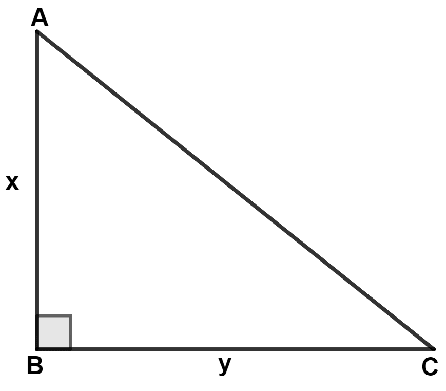 In the adjoining diagram, AB = x cm, BC = y cm and x - y = 7 cm. Area of △ ABC = 30 cm2. The length of AC is : Maths Competency Focused Practice Questions Class 10 Solutions.