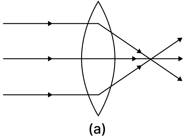 Complete the path of the rays of light incident on a convex lens of refractive index μ. Concise Physics Class 10 Solutions.