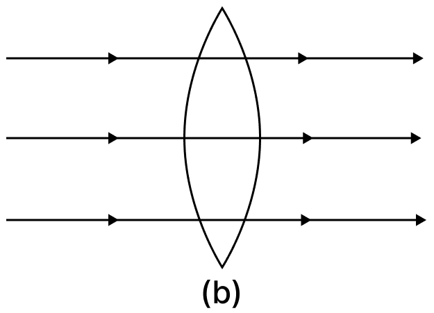 Complete the path of the rays of light incident on a convex lens of refractive index μ. Concise Physics Class 10 Solutions.