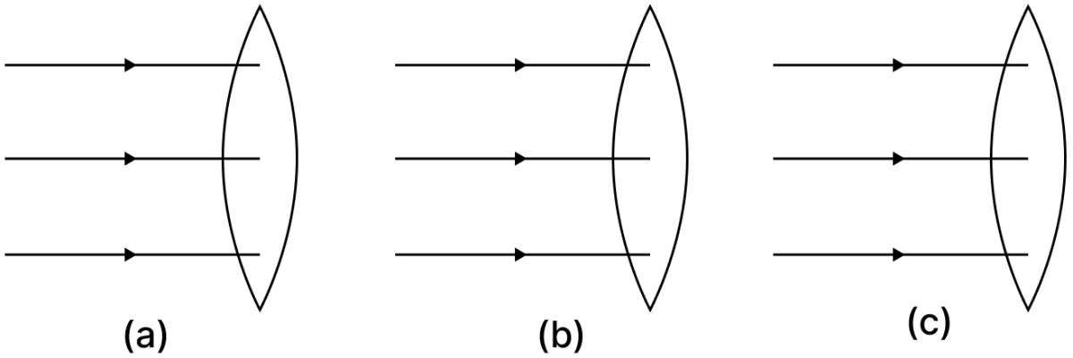 Complete the path of the rays of light incident on a convex lens of refractive index. Concise Physics Class 10 Solutions.
