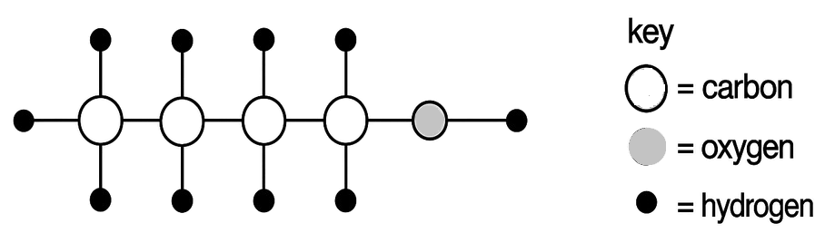 The diagram below represents the molecule of an organic compound. What is the name of this compound? Chemistry Competency Focused Practice Questions Class 10 Solutions.