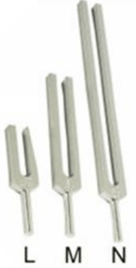 The below picture shows three cylinders filled with water to a different extent. The tuning forks L, M and N in vibration produce louder sound when held above the mouth of the cylinders. Which combination is correct for hearing a louder sound of the tuning fork? Physics Competency Focused Practice Questions Class 10 Solutions.