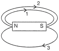 A student draws three magnetic field lines 1, 2, 3 of a bar magnet using a compass needle. Are all the lines of force correctly drawn? Give reason for your answer. Force, Concise Physics Solutions ICSE Class 10.