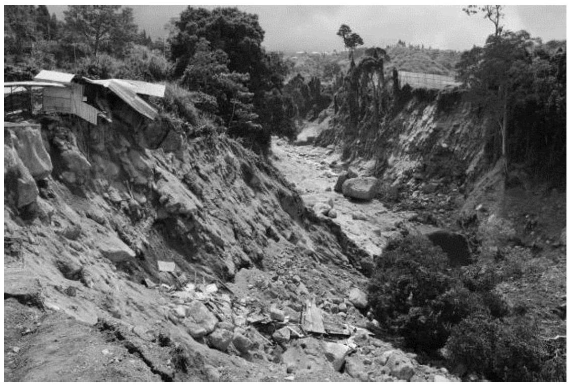 See the picture alongside, which depicts an environmental disaster. Identify it. Competency Focused Practice Questions Geography Solutions ICSE Class 10.