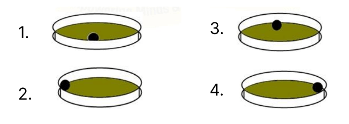 A metal ball is whirled inside a ring placed on a table, as shown in the diagram P. The diagram Q shows the motion of the ball after the ring is lifted. Physics Competency Focused Practice Questions Class 10 Solutions.
