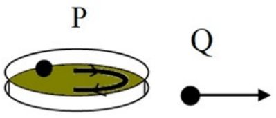 A metal ball is whirled inside a ring placed on a table, as shown in the diagram P. The diagram Q shows the motion of the ball after the ring is lifted. Physics Competency Focused Practice Questions Class 10 Solutions.