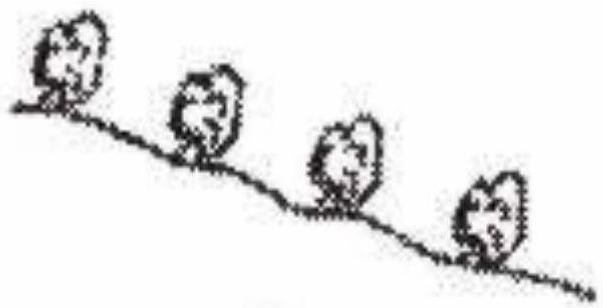 Which of the following figures is akin to the landform of the Deccan Plateau? Competency Focused Practice Questions Geography Solutions ICSE Class 10.