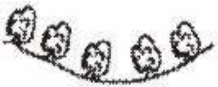 Which of the following figures is akin to the landform of the Deccan Plateau? Competency Focused Practice Questions Geography Solutions ICSE Class 10.