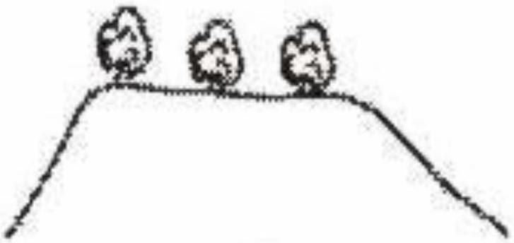 Which of the following figures is akin to the landform of the Deccan Plateau? Competency Focused Practice Questions Geography Solutions ICSE Class 10.