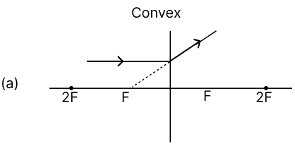 Which of the following diagrams shows the correct path of light through the lens? Physics Competency Focused Practice Questions Class 10 Solutions.