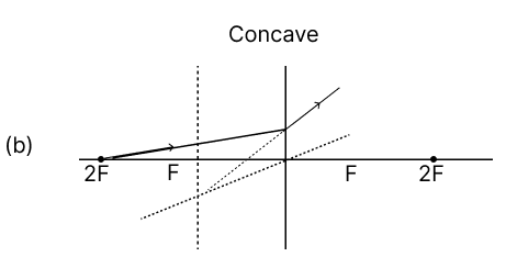 Which of the following diagrams shows the correct path of light through the lens? Physics Competency Focused Practice Questions Class 10 Solutions.