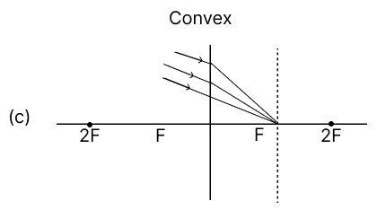 Which of the following diagrams shows the correct path of light through the lens? Physics Competency Focused Practice Questions Class 10 Solutions.