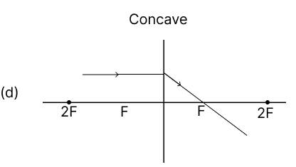 Which of the following diagrams shows the correct path of light through the lens? Physics Competency Focused Practice Questions Class 10 Solutions.