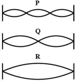  Physics Competency Focused Practice Questions Class 10 Solutions.