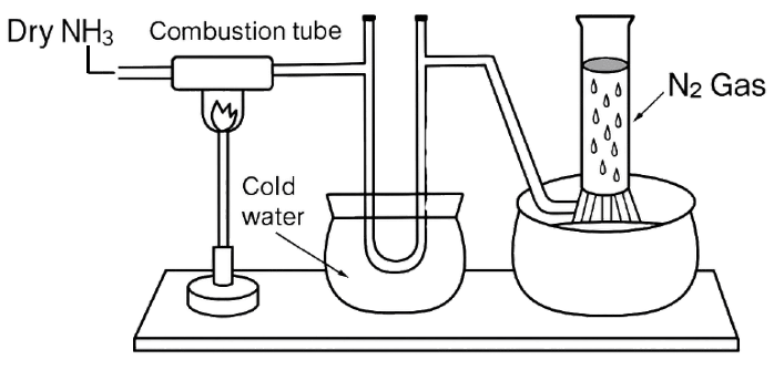 Study the below diagram and choose the correct option related to the content given below: Chemistry Competency Focused Practice Questions Class 10 Solutions.