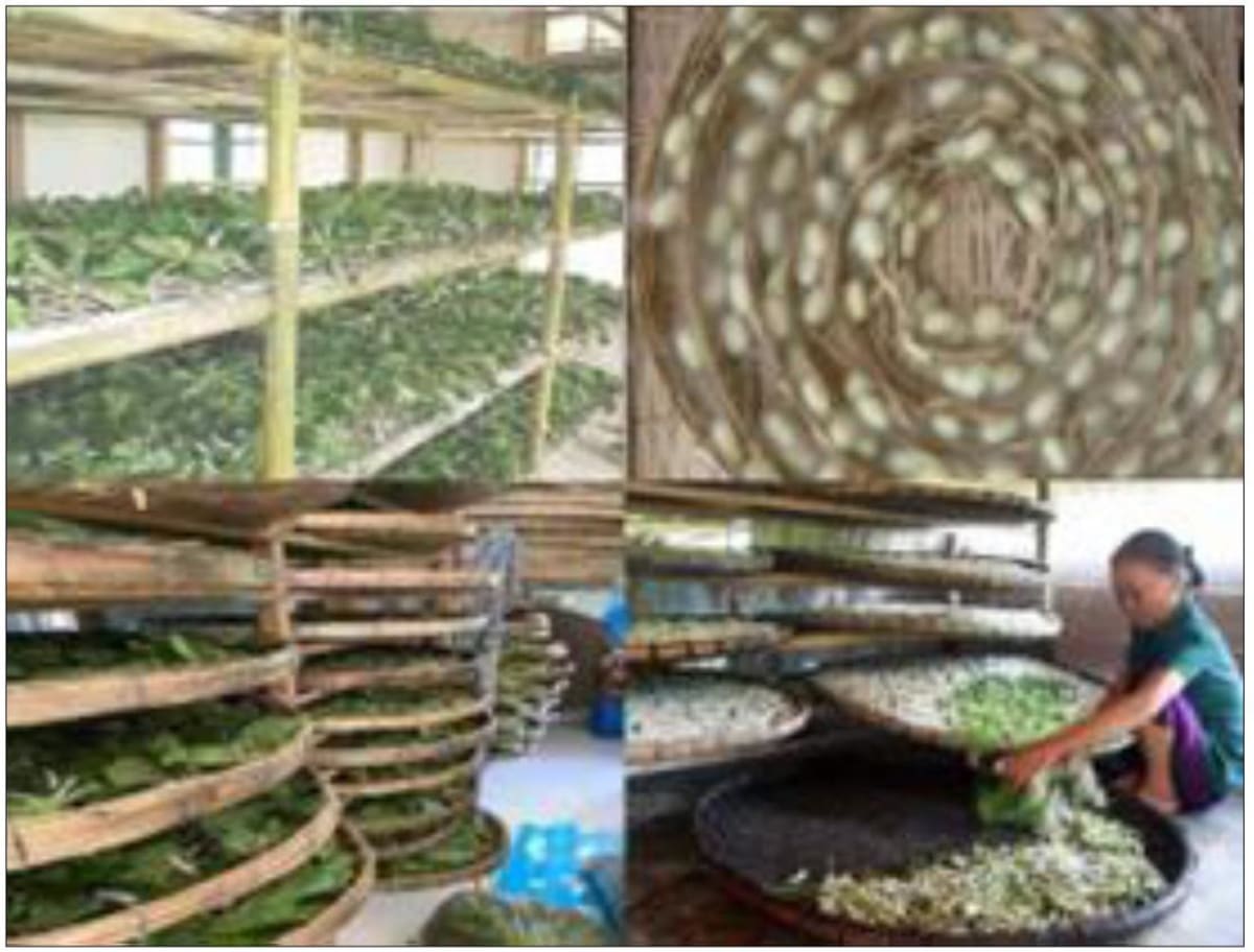 Study the images given below and answer the questions that follow. Competency Focused Practice Questions Geography Solutions ICSE Class 10.