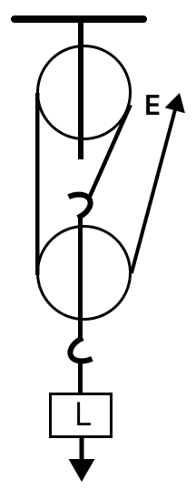 The diagrams below show four pulley systems. State which of the statements following the diagrams is true. Physics Competency Focused Practice Questions Class 10 Solutions.
