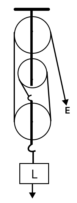 The diagrams below show four pulley systems. State which of the statements following the diagrams is true. Physics Competency Focused Practice Questions Class 10 Solutions.