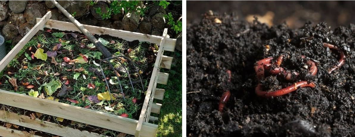 Below are the two pictures of an efficient waste reduction and waste management system. Competency Focused Practice Questions Geography Solutions ICSE Class 10.