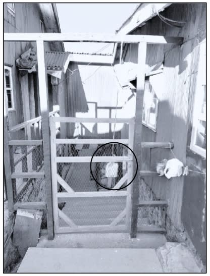 Bandish and Parag, on a trek to Sandakpu, halted at a tea house in Tumbling. The picture above shows the entrance door of the tea house. They saw the tumbrel filled with water hanging from top rigid support passing through the door. On enquiring about the tumbrel, the owner of the tea house, he said that it acts as a pullback after opening and releasing the door. Physics Competency Focused Practice Questions Class 10 Solutions.