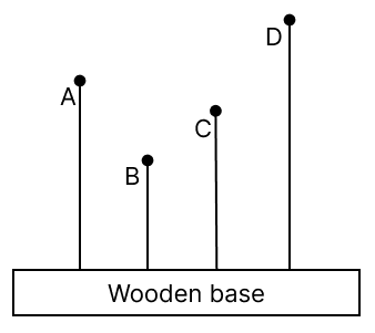 The adjacent diagram shows four solid plastic balls with wires fitted on a wooden base. A person shakes the wooden base to and fro (forward and backward) periodically. It is observed that even the balls start vibrating. It is also observed that all balls vibrate, but only one ball vibrates vigorously. Physics Competency Focused Practice Questions Class 10 Solutions.