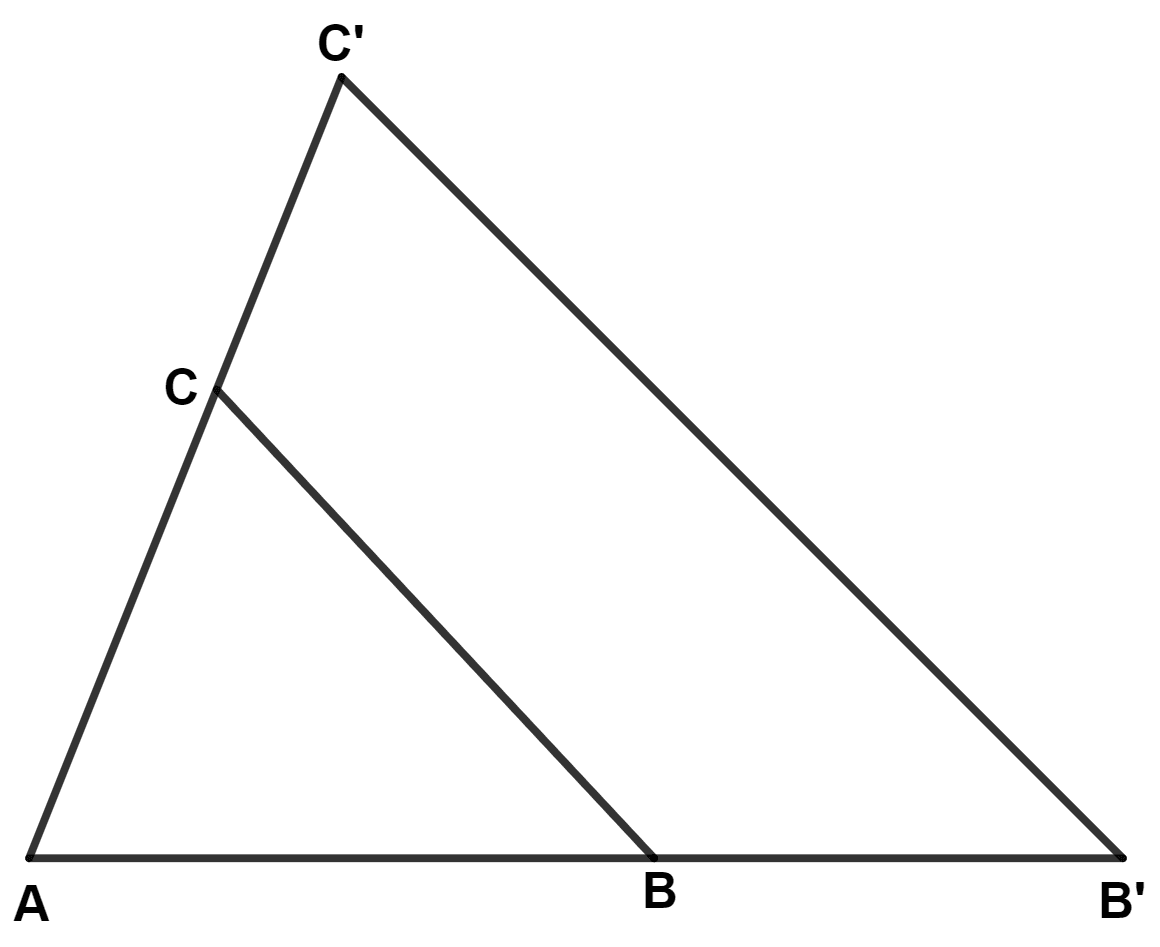 While preparing a PowerPoint presentation, ∆ ABC is enlarged along the side BC to ∆ AB'C', as shown in the diagram, such that BC ∶ B'C' is 3 ∶ 5. Find : Maths Competency Focused Practice Questions Class 10 Solutions.