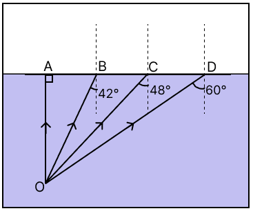 In the given diagram, two transparent optical media are shown. The rarer medium is air, while the denser medium is water. Redraw the diagram by showing the paths of the rays after striking the surface of separation AD for the incident rays OA, OB, OC and OD, respectively. Physics Competency Focused Practice Questions Class 10 Solutions.