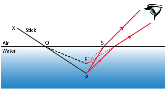 Draw a ray diagram to show the appearance of a stick partially immersed in water. Explain your answer. Refraction of light at plane surfaces, Concise Physics Class 10 Solutions.