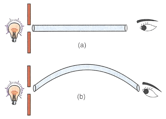 In which of the following two arrangements (a) and (b) shown in figure below, you can see the light of the bulb? Explain your answer. Concise Physics Solutions ICSE Class 6.