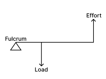 The diagram given below shows the three kinds of levers. Name the class of each lever and give one example of each class. Concise Physics Solutions ICSE Class 6.
