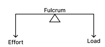 The diagram given below shows the three kinds of levers. Name the class of each lever and give one example of each class. Concise Physics Solutions ICSE Class 6.