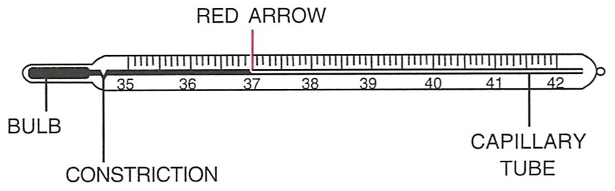 Name the instrument used for measuring the temperature of a person. Draw its neat labelled diagram. Concise Physics Solutions ICSE Class 6.