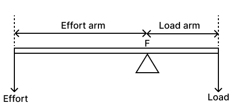 Describe three orders of levers giving an example of each. Draw neat diagrams showing the positions of fulcrum, load and effort in each kind of lever. Concise Physics Solutions ICSE Class 6.