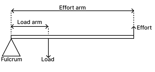 Describe three orders of levers giving an example of each. Draw neat diagrams showing the positions of fulcrum, load and effort in each kind of lever. Concise Physics Solutions ICSE Class 6.