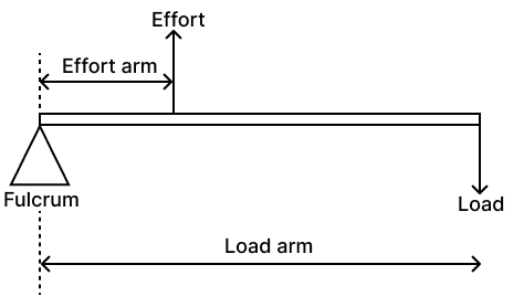 Describe three orders of levers giving an example of each. Draw neat diagrams showing the positions of fulcrum, load and effort in each kind of lever. Concise Physics Solutions ICSE Class 6.